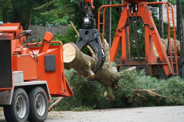 Stump and root grinding